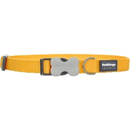 RED DINGO Dog Collar Classic Yellow, Small RE437134